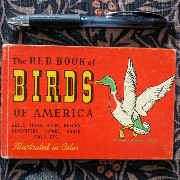 Vintage birds of America book - Picture 5 of 5